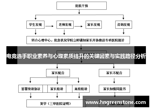 电竞选手职业素养与心理素质提升的关键因素与实践路径分析